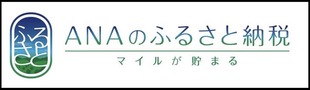 ANAのふるさと納税の画像