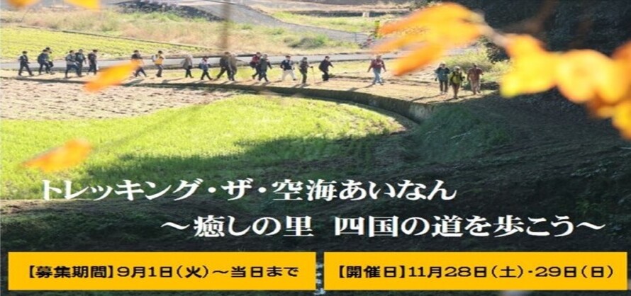 遍路道を歩く参加者たち