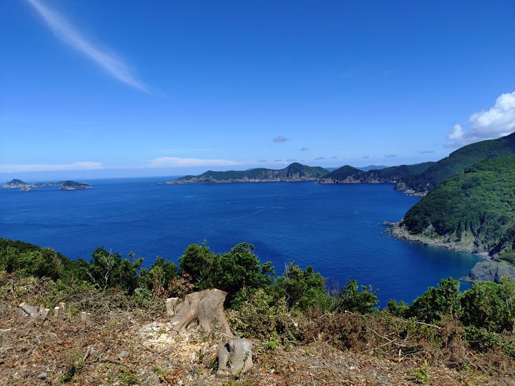 高茂岬伐採後の画像