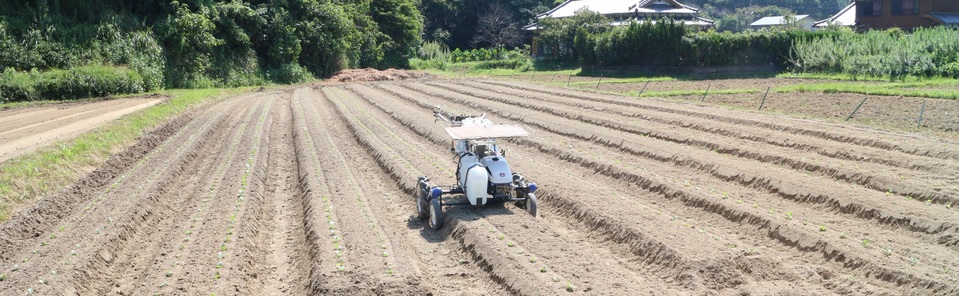 ほ場と定植機の画像