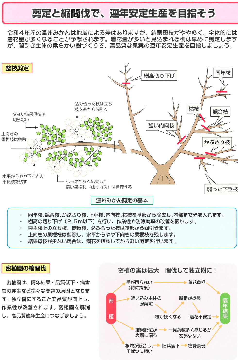 剪定と縮間伐についての説明画像